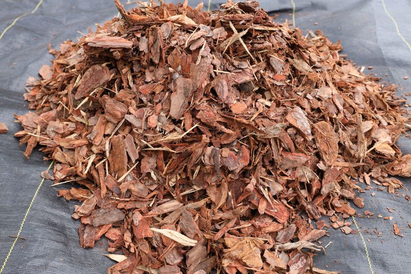 Use Heavier Pine Bark Nuggets Use Heavier Pine Bark Nuggets