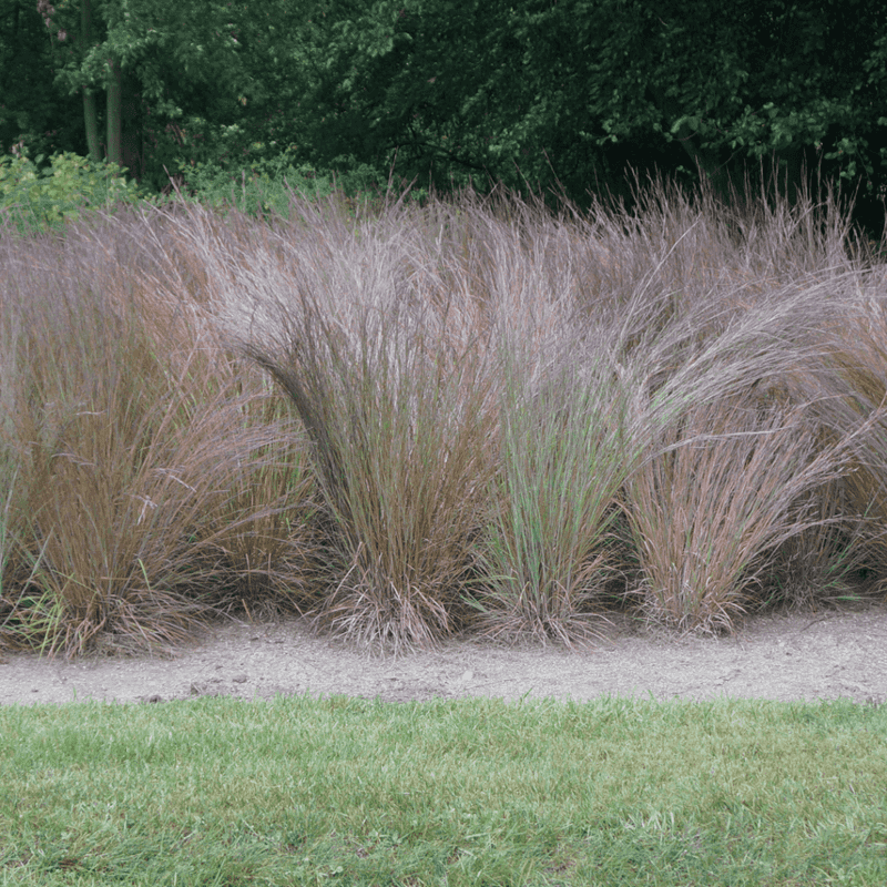 Use It To Bring Prairie Structure Back Home