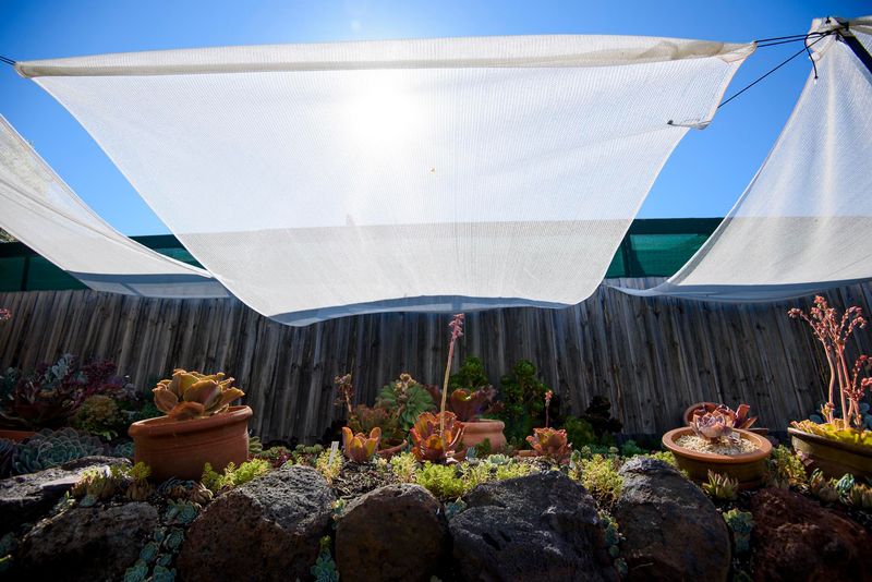 Use Light Colored Fabric To Reflect More Heat Use Light Colored Fabric To Reflect More Heat