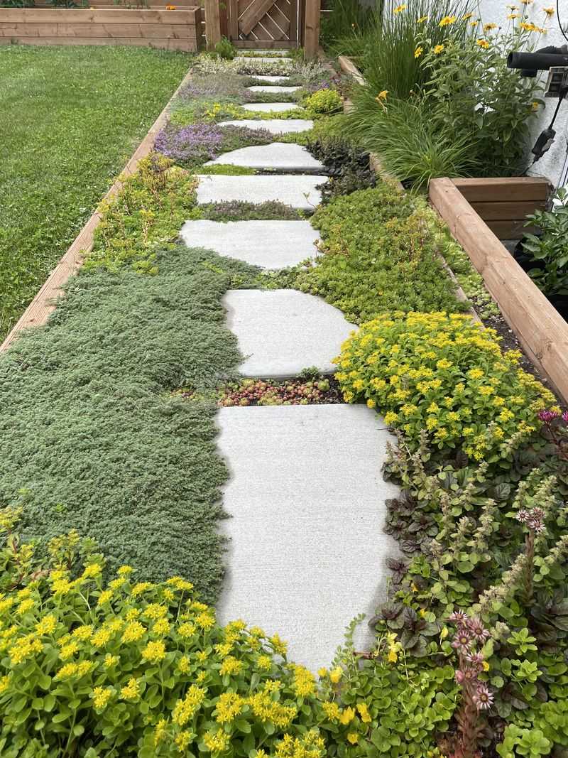 Use Mossy Paths To Make Shade Feel Intentional