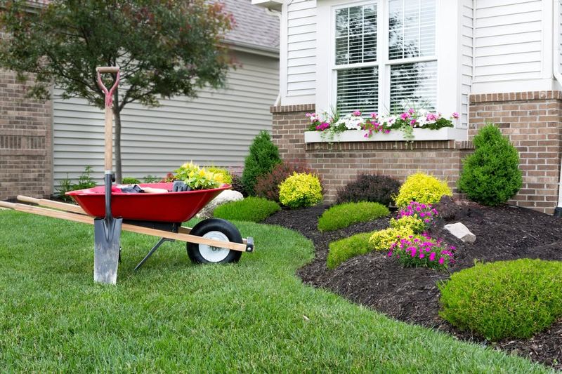 Use Organic Mulch Only While The Plants Fill In