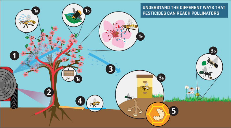Use Pest Control Strategically, Not Automatically Use Pest Control Strategically, Not Automatically
