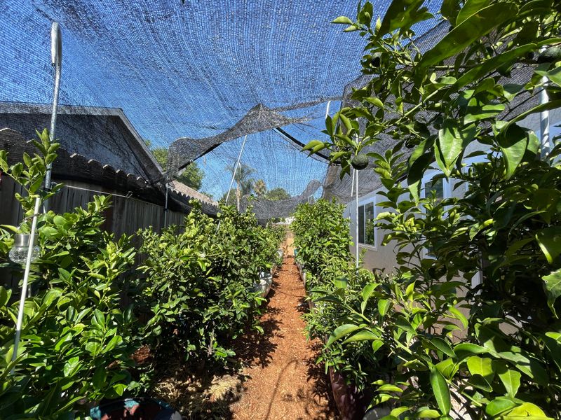 Use Shade Cloth During Heat Waves Use Shade Cloth During Heat Waves