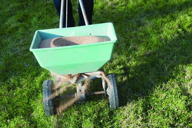 Use Slow Release Nitrogen Wisely Use Slow Release Nitrogen Wisely