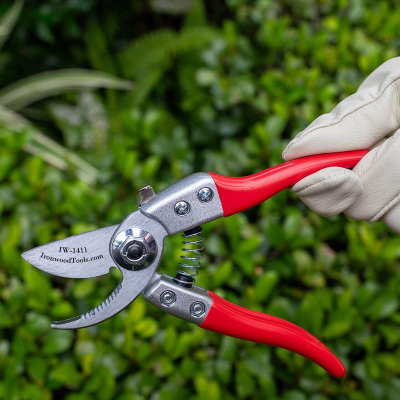 Use Snips For Tough Flower Stalks Use Snips For Tough Flower Stalks