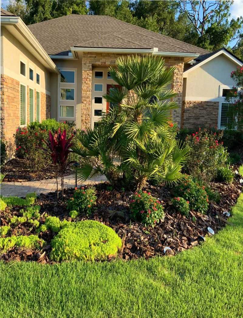 Use The Right Plant In The Right Place
