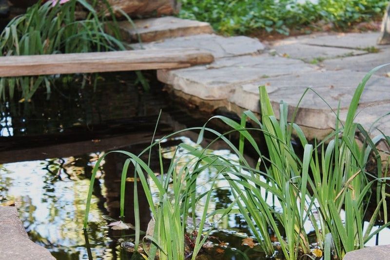 Use Water Without Creating a Breeding Site