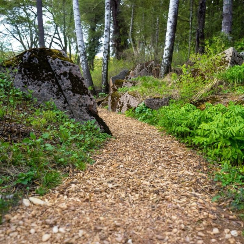 Use Wood Chips For Softer Garden Walkways Use Wood Chips For Softer Garden Walkways