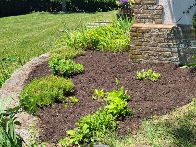 Use the Garden Edge to Reduce Tick-Friendly Habitat Use the Garden Edge to Reduce Tick-Friendly Habitat