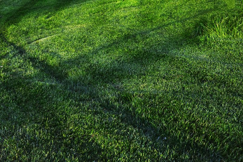 Using Phosphorus Without A Proven Need