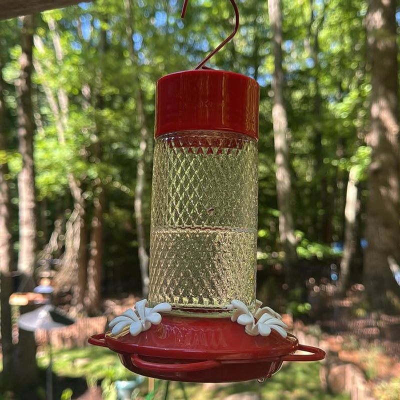 Using Red Dye In The Nectar Using Red Dye In The Nectar