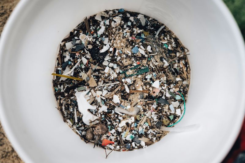 Vermont's Composting Rules And Options For Bioplastic Waste Vermont's Composting Rules And Options For Bioplastic Waste
