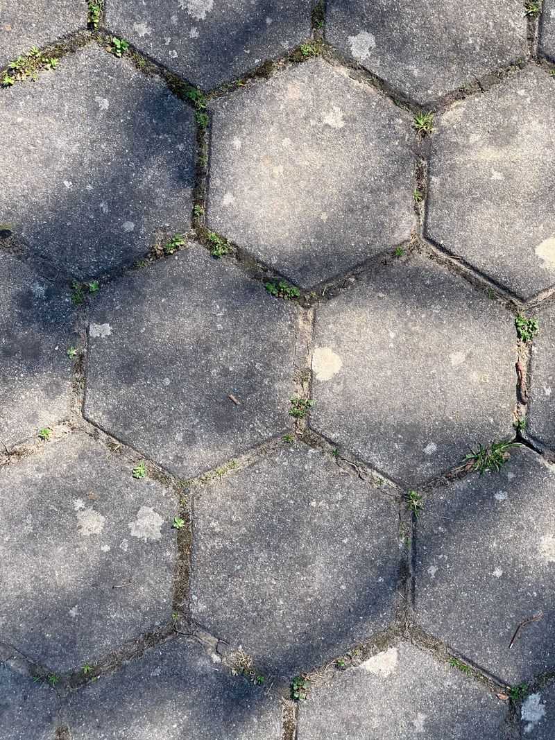 Vinegar Clears Weeds On Walkways
