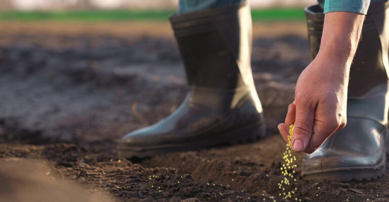 Virginia Gardeners Need To Finish These Tasks In The Next Two Weeks