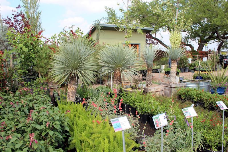 Vivero Growers - Austin Area