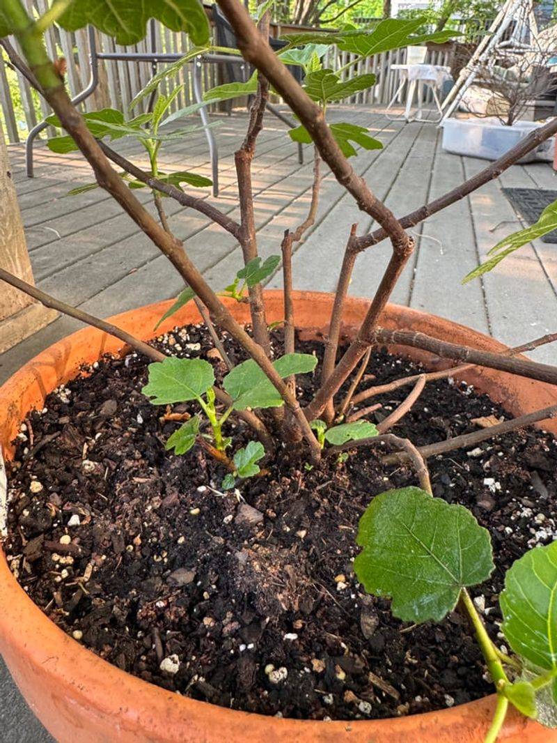 Wait On Big Pruning