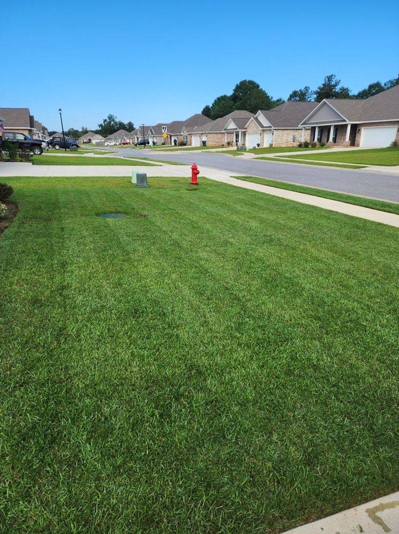 Wait Until The Grass Is Dry Before Mowing