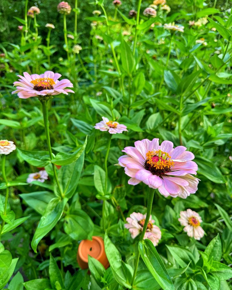 Waiting Too Long Slows New Growth Waiting Too Long Slows New Growth
