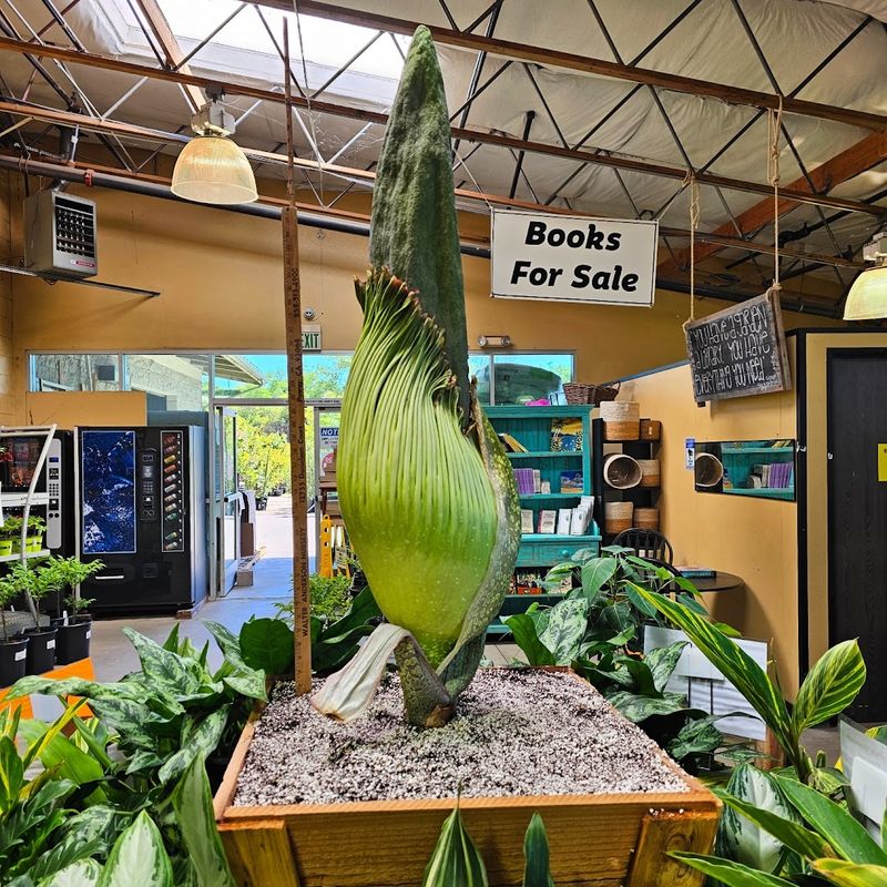 Walter Andersen Nursery — Poway