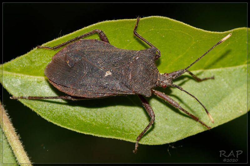 Warm Dry Summers Boost Reproduction Fast Warm Dry Summers Boost Reproduction Fast