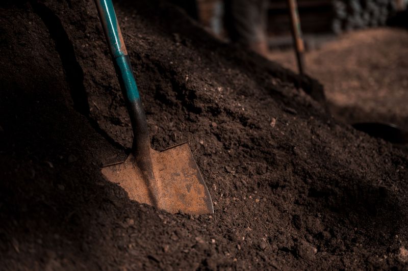 Warm Soil Boosts Decomposition Rates Warm Soil Boosts Decomposition Rates