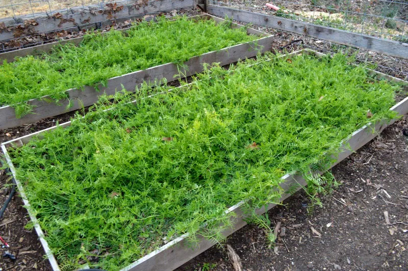 Warm Soil Gets Seeds Moving Fast Warm Soil Gets Seeds Moving Fast