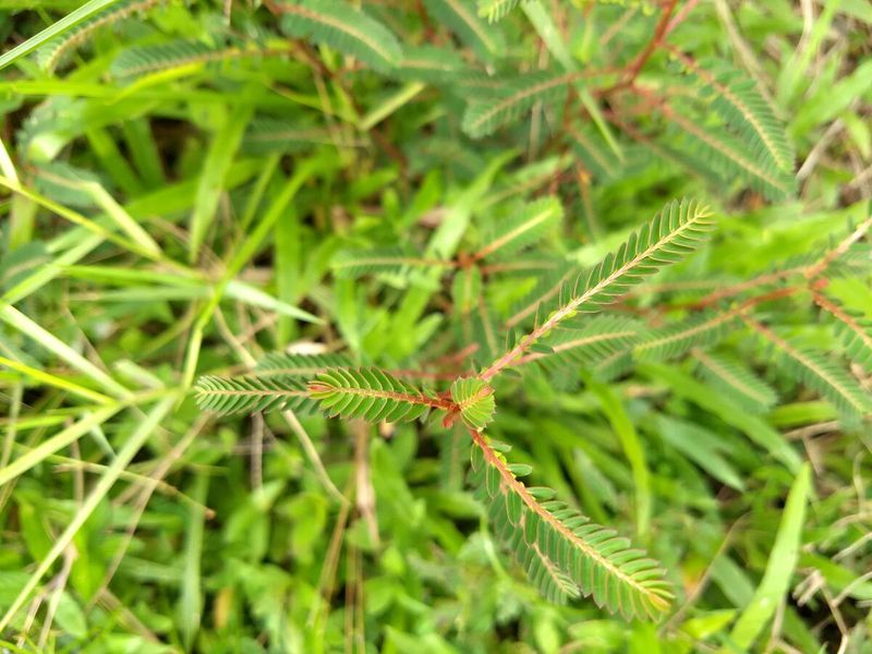 Warm Soil Helps New Plants Keep Appearing Warm Soil Helps New Plants Keep Appearing