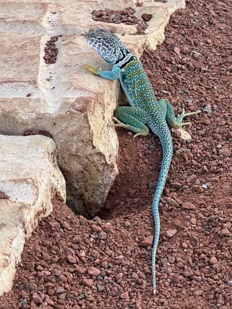 Warm Sunny Days Keep Them Active