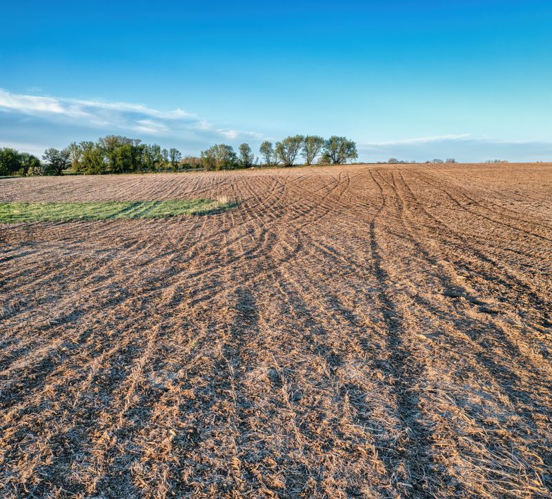 Warmer, Drier March Soil Conditions