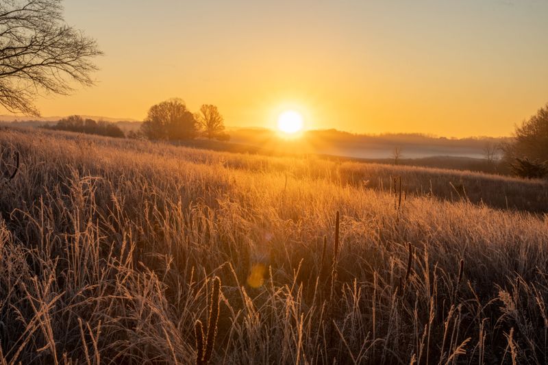 Warming Trends Raise Overnight Lows Warming Trends Raise Overnight Lows
