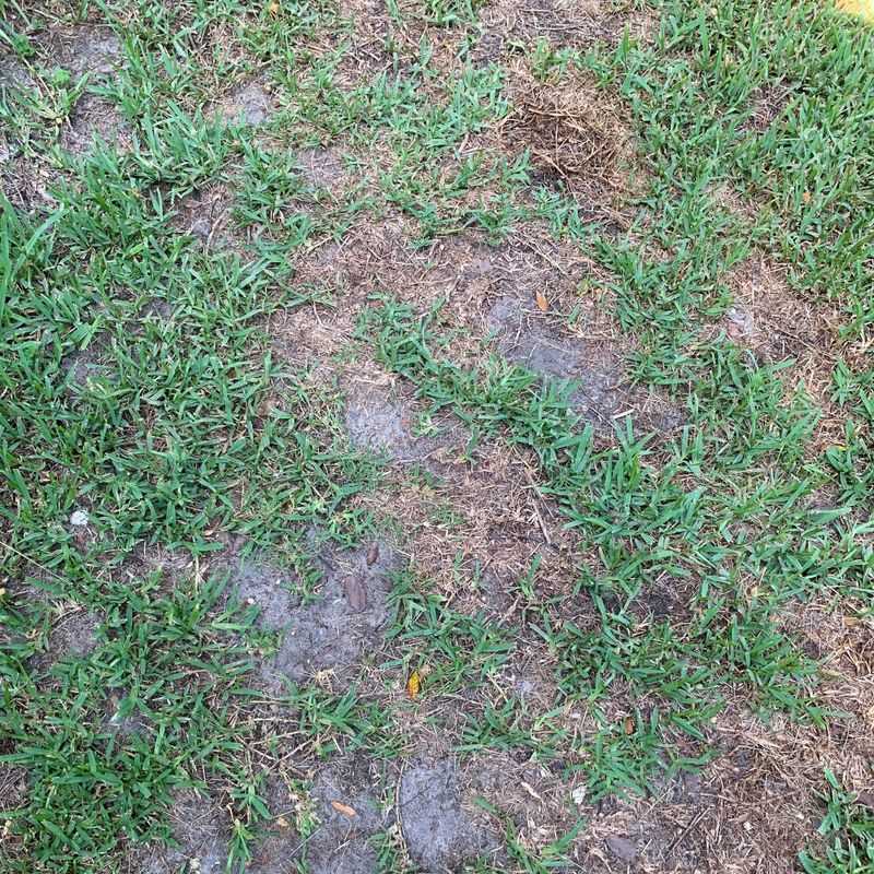 Watch Damp Areas For New Patches Watch Damp Areas For New Patches