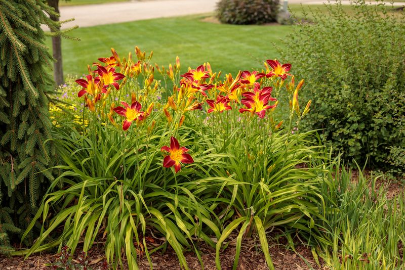 Watch For Crowded Clumps