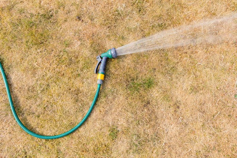 Watch For Disease After Too Much Water