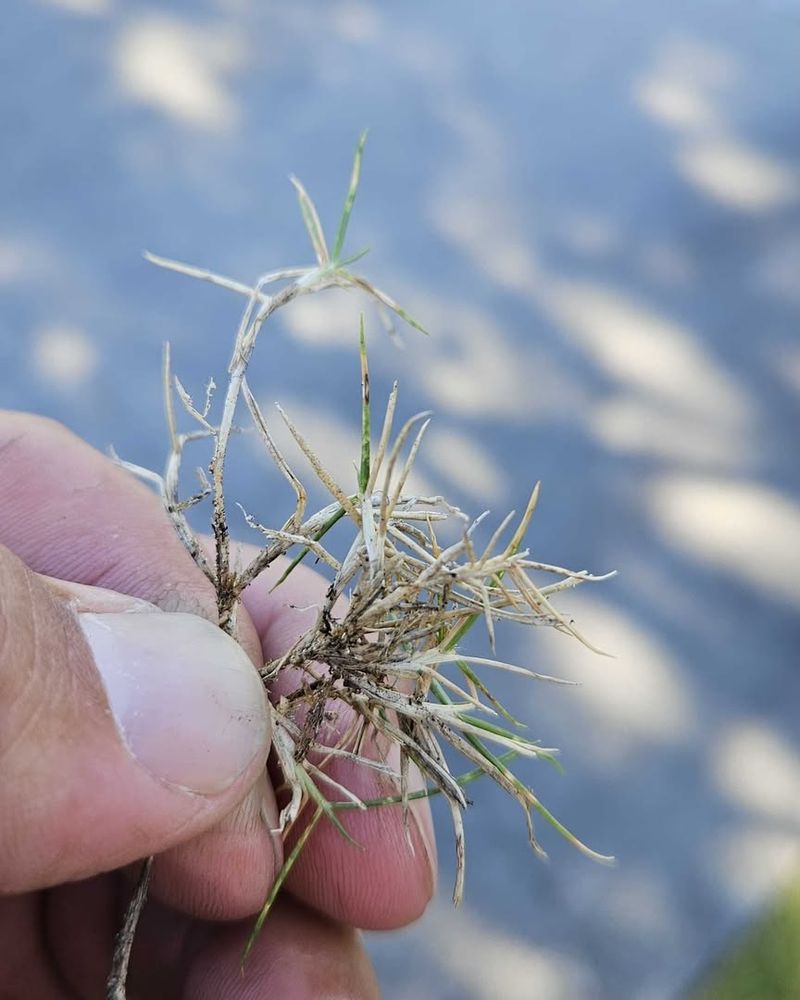 Watch How Water Responds Watch How Water Responds