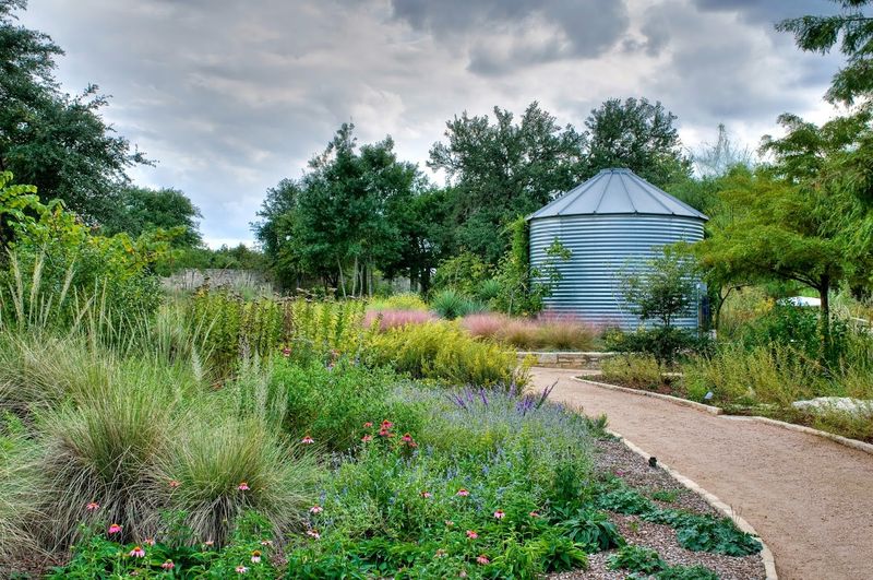Watch Lady Bird Johnson Plant Sales