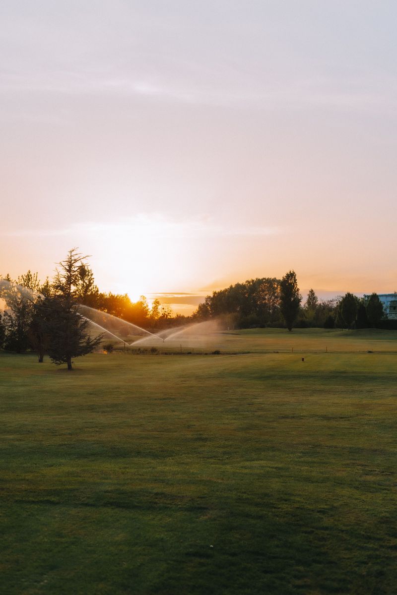 Water Before Sunrise To Reduce Evaporation Loss Water Before Sunrise To Reduce Evaporation Loss