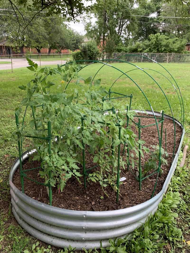 Water Deeply Before Mulching