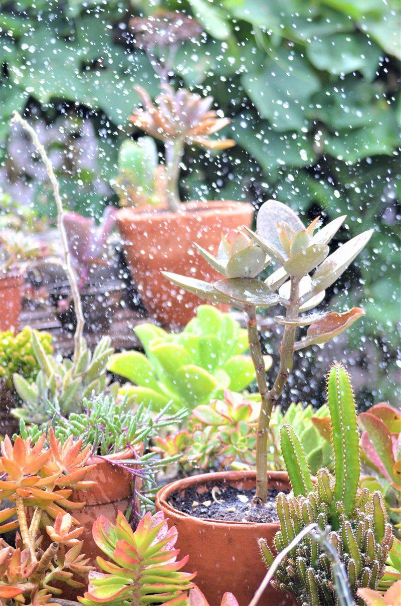 Water Deeply, Not Lightly Water Deeply, Not Lightly