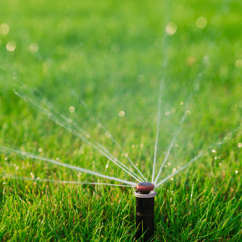 Water Only When The Lawn Shows Stress Water Only When The Lawn Shows Stress