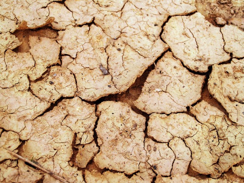 Water Runs Off Instead Of Soaking In Through A Hard Crust Water Runs Off Instead Of Soaking In Through A Hard Crust