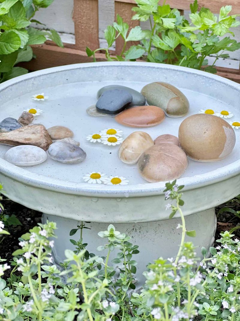Water Sources Bring Helpers Back Daily Water Sources Bring Helpers Back Daily