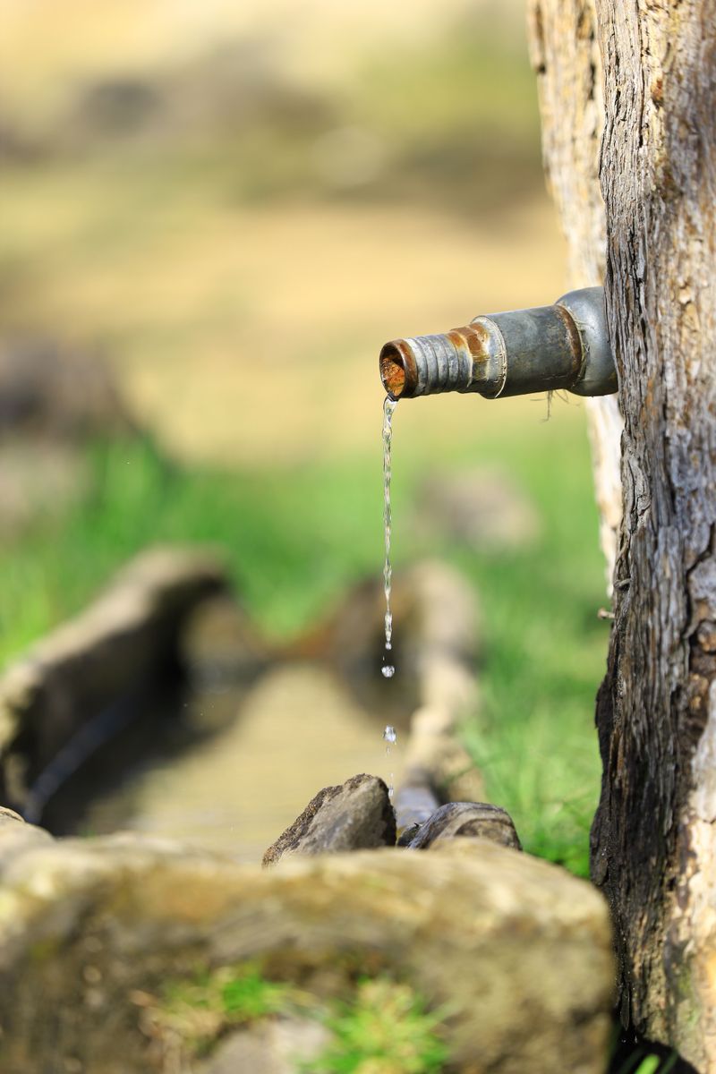 Water Sources Drying Up Or Disappearing Water Sources Drying Up Or Disappearing
