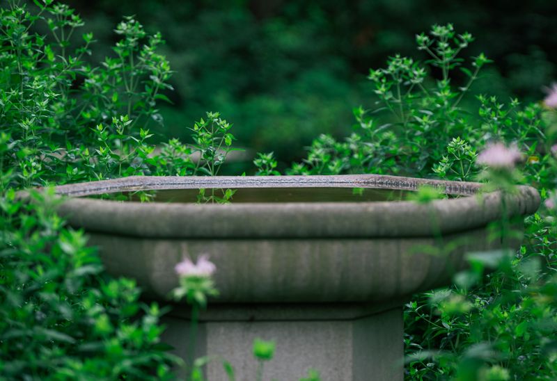 Water Sources Make Your Garden More Appealing