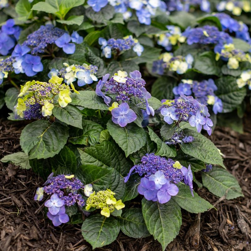 Water The Soil, Not The Flowers Water The Soil, Not The Flowers