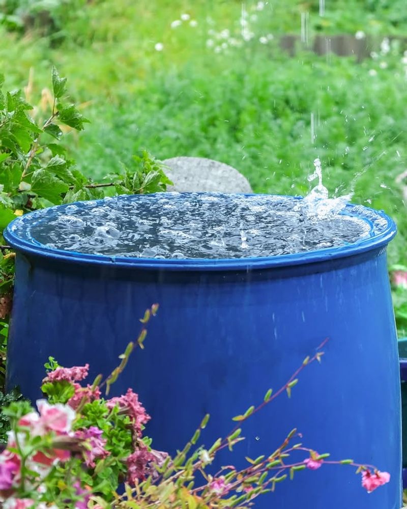 Water-Wise Landscapes Make Better Use Of Every Storm