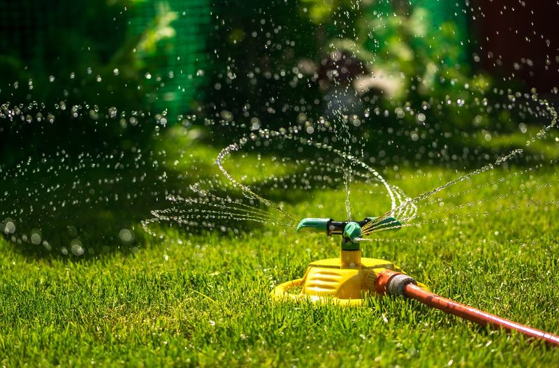 Watering Lightly Every Day Watering Lightly Every Day