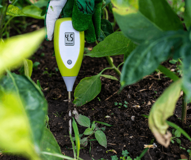 Watering On A Fixed Schedule Without Checking Soil Watering On A Fixed Schedule Without Checking Soil