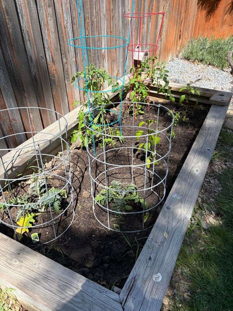 Watering Only After Plants Wilt Watering Only After Plants Wilt