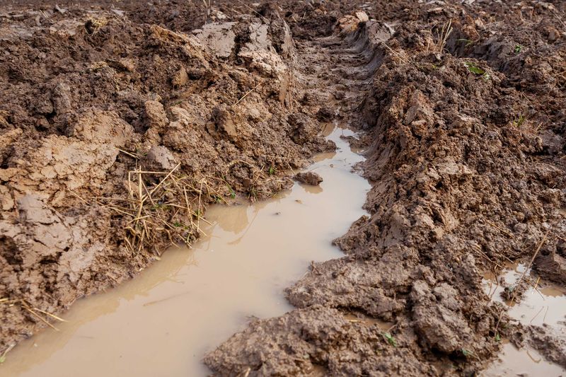 Watering Too Fast On Clay Or Sloped Soil Watering Too Fast On Clay Or Sloped Soil