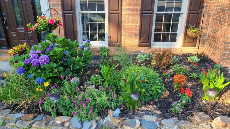 Watering Too Often Weakens Flower Beds Against July's Worst Heat